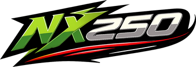nx250